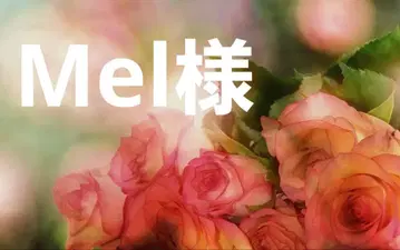 Mel 님 호누&레이 파우치