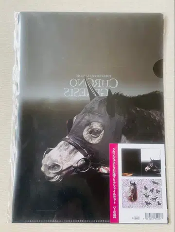 크로노 제네시스 클리어 파일 2종 세트