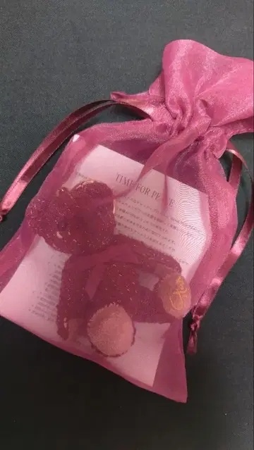 스타 주얼리 차리티 봉제 인형