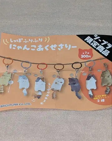 냥코 액세서리 시푸라 한정판 얼룩 고양이 오드아이.꿩