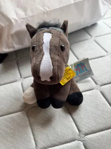 아이돌 호스 봉제 인형 두바이 시마 클래식 이퀴녹스