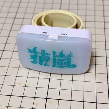 Eve 꽃폭풍 LED 밴드