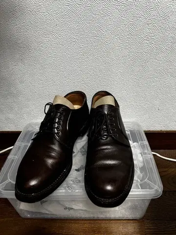 알든 가죽 신발