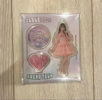 오타니 에미리 LOVE 2024 아레나 투어 굿즈 세트