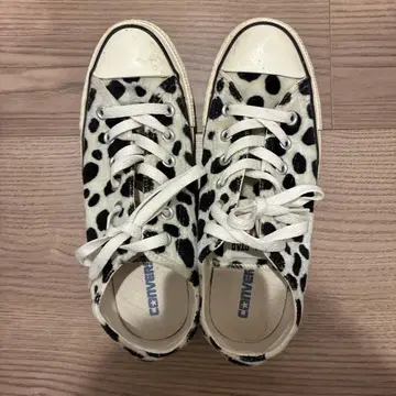 새상품급 CONVERSE 달마시안 패턴 스니커즈
