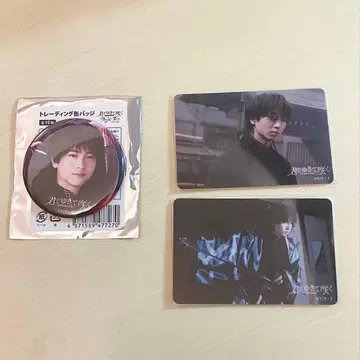 너와 소매 피는 사이 사이토 하지메 쇼지 코헤이 세트