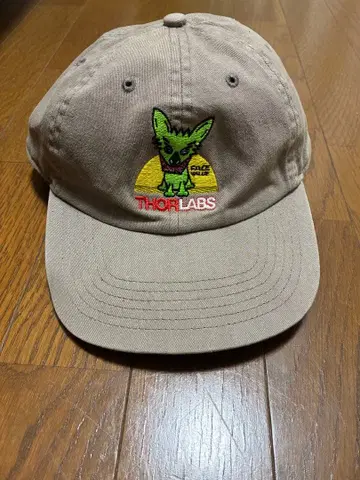 [ 레어 ] US 기업 빈티지 캡 90's