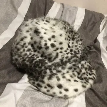 CA4LA (카시라) 애니멀 무늬 퍼 헌팅 캡 레오파드 무늬