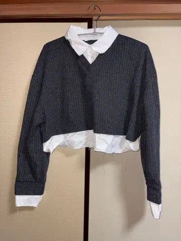 ZARA 숏 기장 셔츠