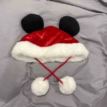 디즈니 크리스마스 2024 팬 캡