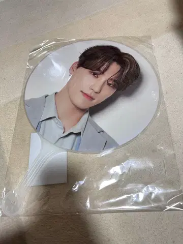 SEVENTEEN INCOMPLETE 디노 부채