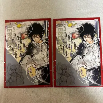 아마노 아키라 전시회 금박 엽서 히바리 쿄야 2세트