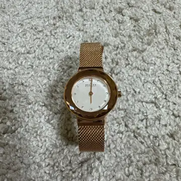 SKAGEN 골드 메쉬 밴드 시계