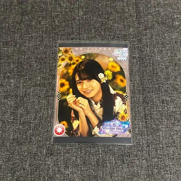 노기페스 프리카 세토구치 코츠키