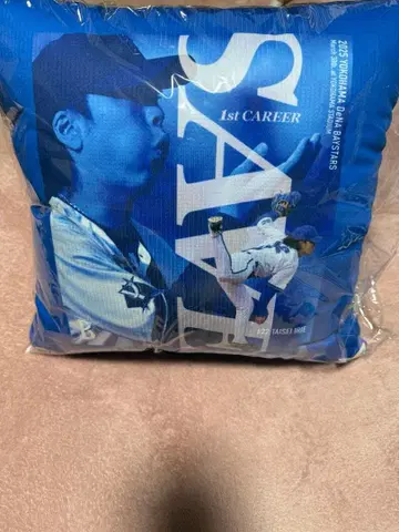 이리에 타이세이 하이라이트 굿즈 쿠션