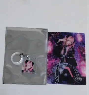 XP!A PUS IN 하라주쿠 아마냥