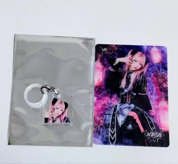 XP!A PUS IN 하라주쿠 아마냥