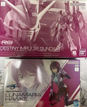 RG 데스티니 임펄스 건담 & 피규어라이즈 루나마리아 호크