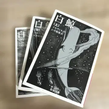 백경 (상 중 하) 스타빈 하움 저