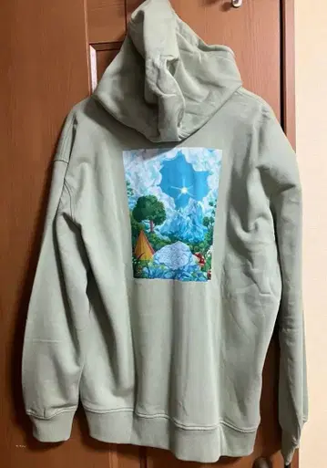 THE NORTH FACE 헤리티지 그래픽 집업 후드티