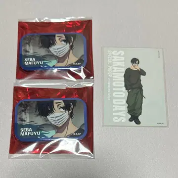 사카모토 데이즈 세바 겨울 세트