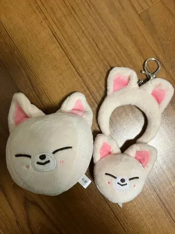 스트레이 키즈 아이엔 폭시니 Stray Kids I.N