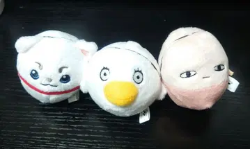 3년 Z반 긴파치 선생님 폼폼 인형 3종 세트