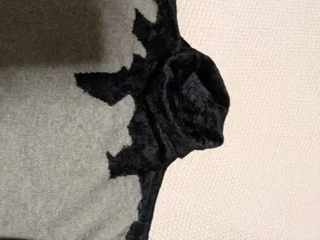 치비디니 스웨터