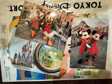 디즈니씨 포토팬 크리스마스 (파르페밤) 미키&미니 스페셜 포토