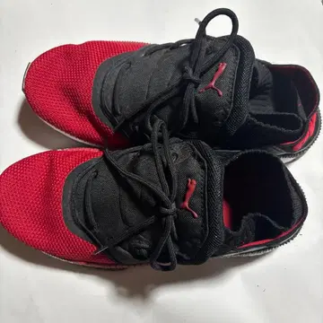 PUMA IGNITE 스니커즈 블랙/레드