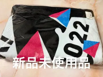 W-KEYAKI FES.2022 후드 부착 타월 [새상품]