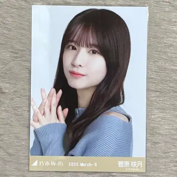 노기자카46 브로마이드 스가와라 사츠키 퍼 요리