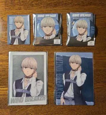 WINDBREAKER 윈브레 쿨 데님 [카지 렌] 5세트