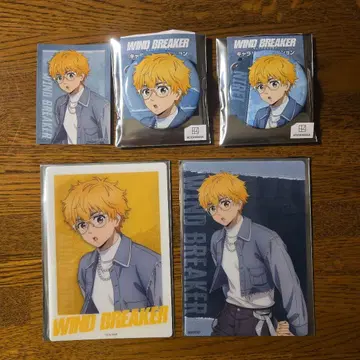 WINDBREAKER 윈브레 쿨 데님 [ 니이 아키히코 ] 5세트