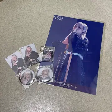 CANDY TUNE 미야노 시즈 생일 기념 2025 운명 복권