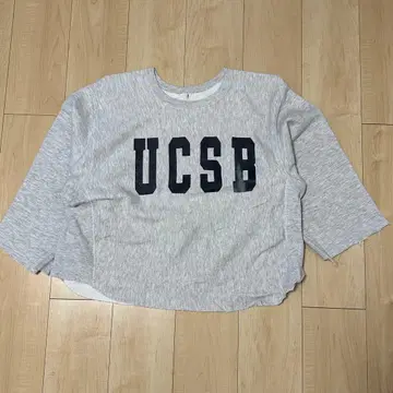 UCSB 로고 그레이 리버스형