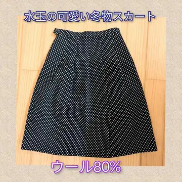 울 플레어 스커트