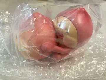 제일복권 코비토즈칸 E상 미니피규어 카쿠레모모지리