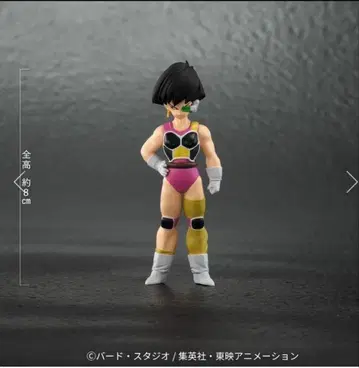 드래곤볼 얼라이즈 대원숭이 버독 ZEEM 통신 판매 한정판 특전 세리파만