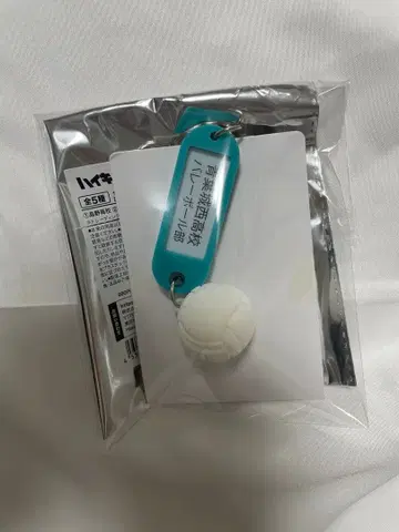 트레이딩 고교명 부착 열쇠 참 키링 아오바죠사이 고교 2