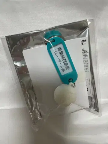 트레이딩 고교명 부착 열쇠 참 키링 아오바죠사이 고교 3