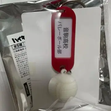 트레이딩 고교명 부착 열쇠 참 키링 네코마 고교 3