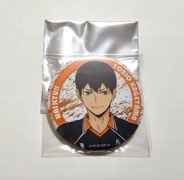 하이큐 컬렉션 캔뱃지 카게야마