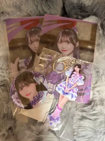 iLife 준령 미키 무도관 온라인 복권