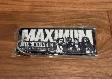 맥시멈 더 호르몬 M.T.F.H. 플라이트 택 키링