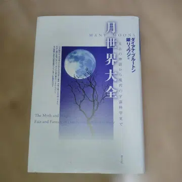 Many Moons 월세계대전 다이애나 골드 저