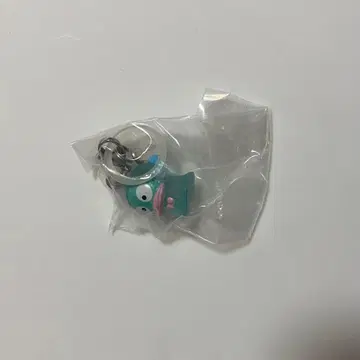 한교동 BEST 메지루시 액세서리