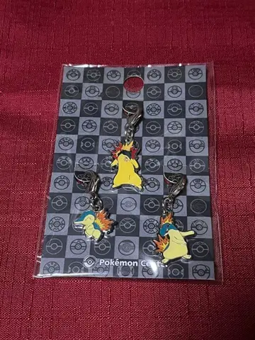 포켓몬 센터 한정판 전국도감 메탈 참 155.156.157