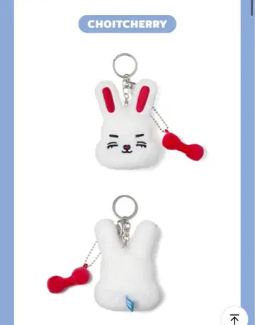 SEVENTEEN 미니틴 초이체리 페이스 키링