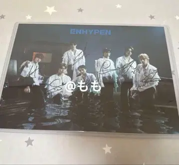 enhypen darkblood 친필 사인 엽서